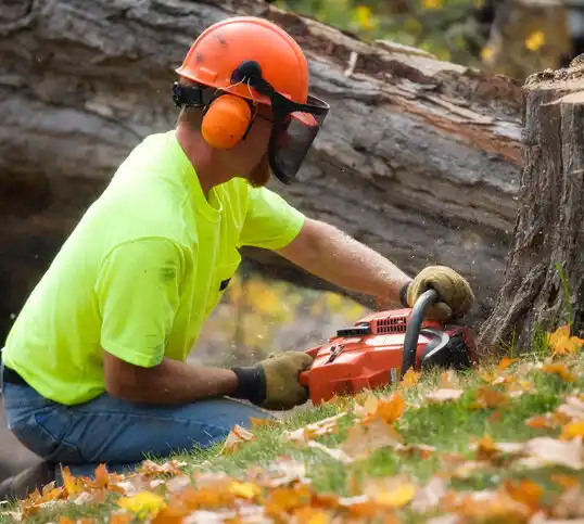 tree services Concordia